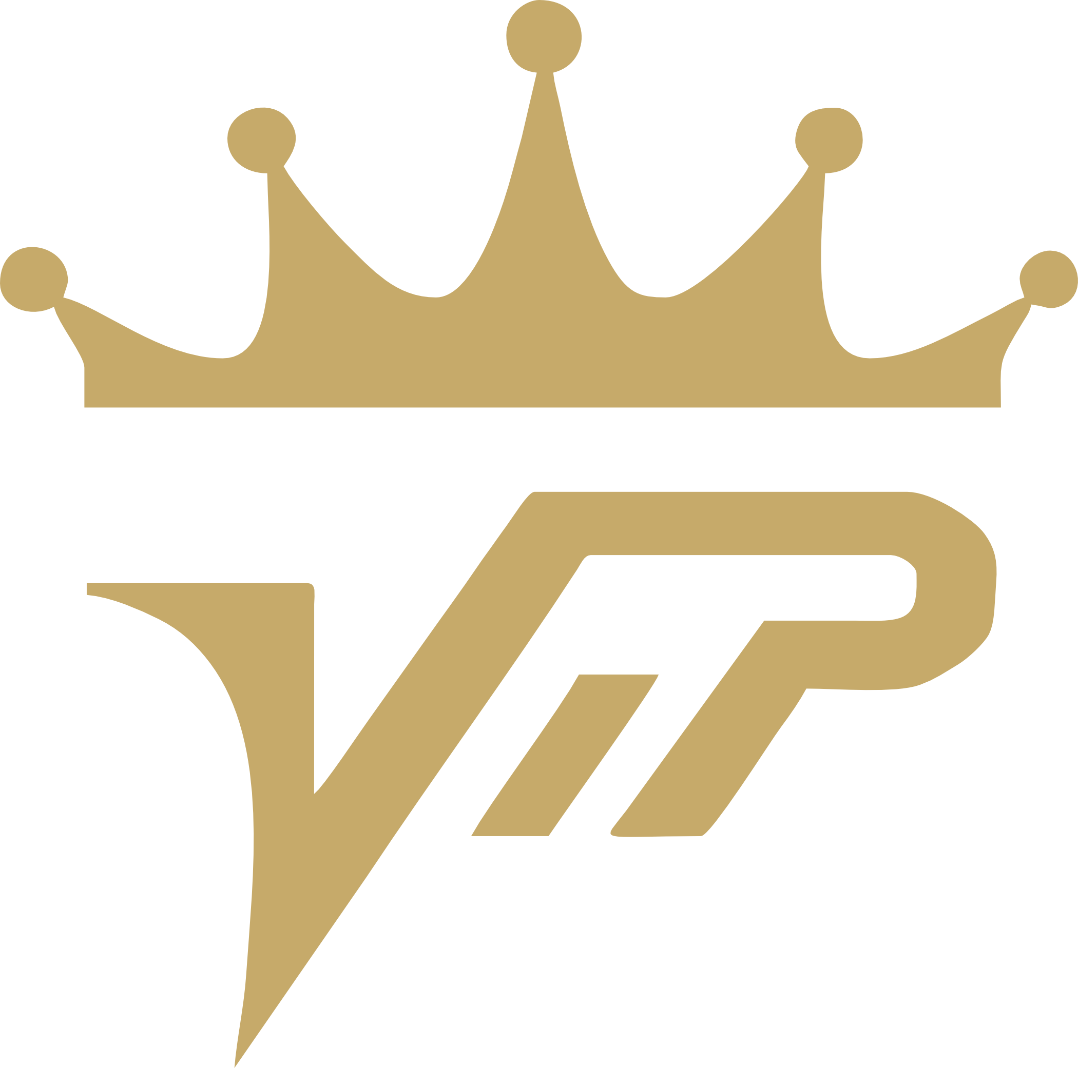 VIP Logo